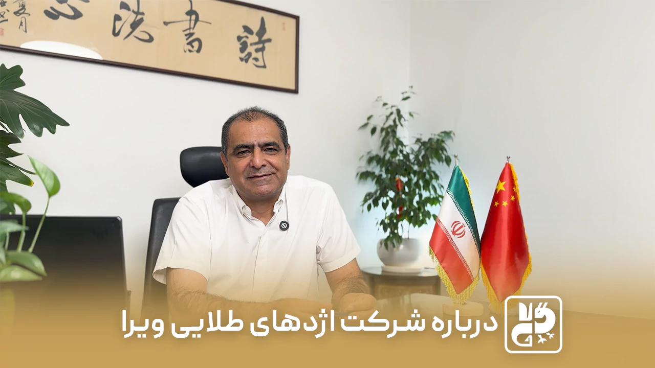 درباره شرکت اژدهای طلایی ویرا viera goldendragon
